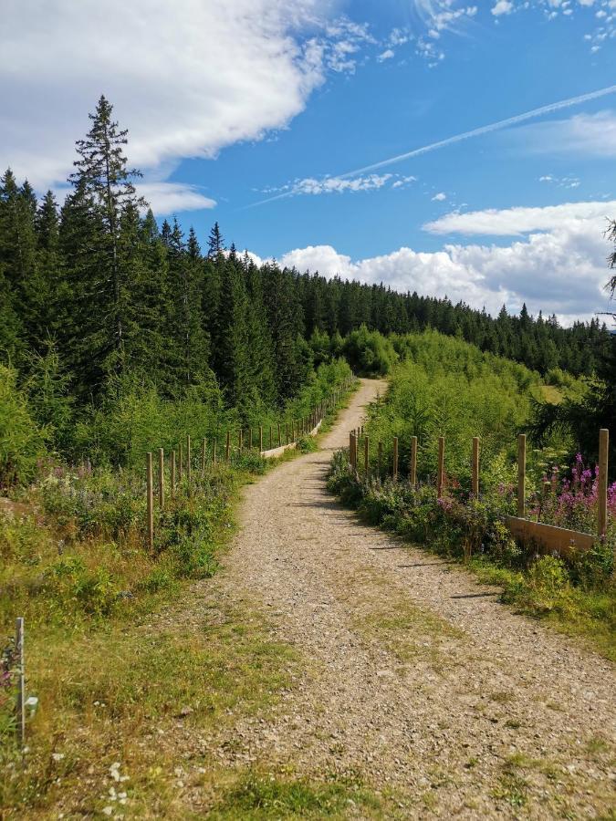 Ferienwohnungen Hebalm Pack Bagian luar foto